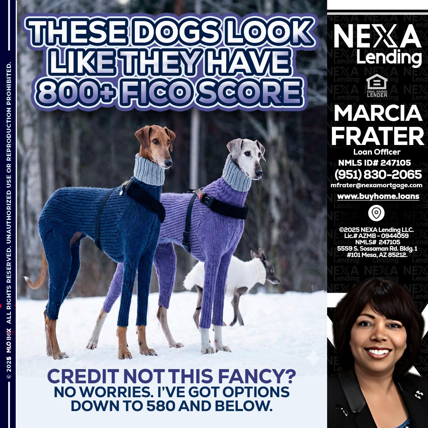 THESE DOGS LOOK - Marcia Frater -Loan Officer